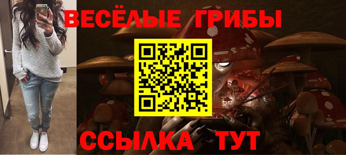 Ярославль  Псилоцибиновые грибы мицелий  Вход с VPN  Псилоцибиновые грибы мицелий 