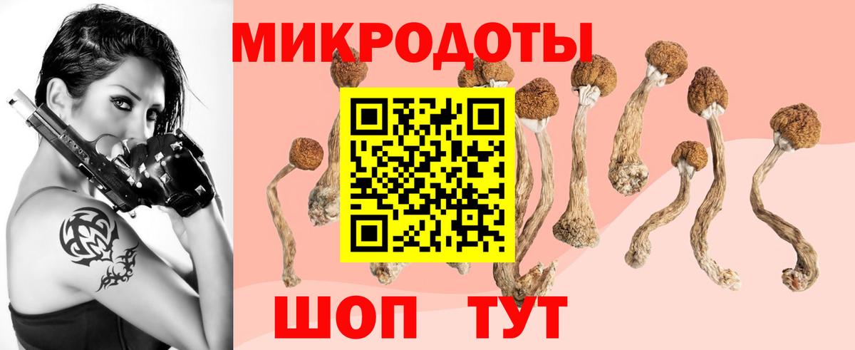 Псилоцибиновые грибы GOLDEN TEACHER Ярославль